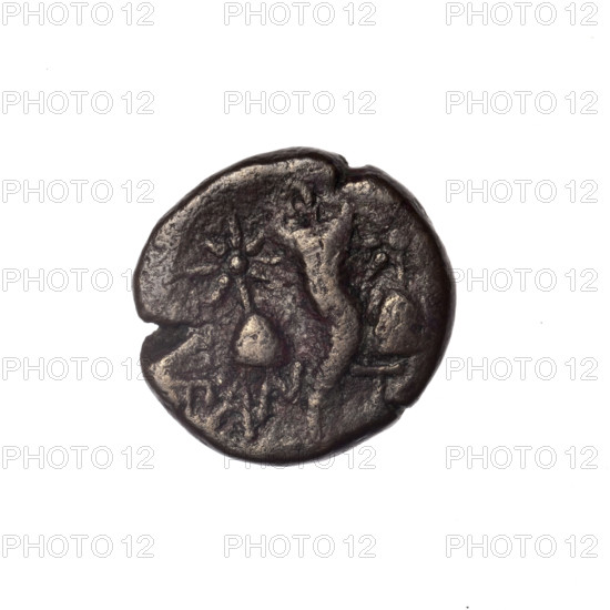 Bronze coin, Pantikapaion; obverse: head of bearded Satyr in ivy wreath facing left; reverse: cornucopia, Dioscuri caps topped with stars on the sides, inscription below them; iconography: Dioscuri caps, Satyr’s head, cornucopia; subject: Satyr (mythology), Dioscuri (mythology); date: 4th quarter of the 2nd century BC; region: Cimmerian Bosporus, Pantikapaion; maker/place: Pantikapaion; material: bronze; function: coin; weight: 4.07 g; dimensions: 17.8 mm × 17.5 mm.