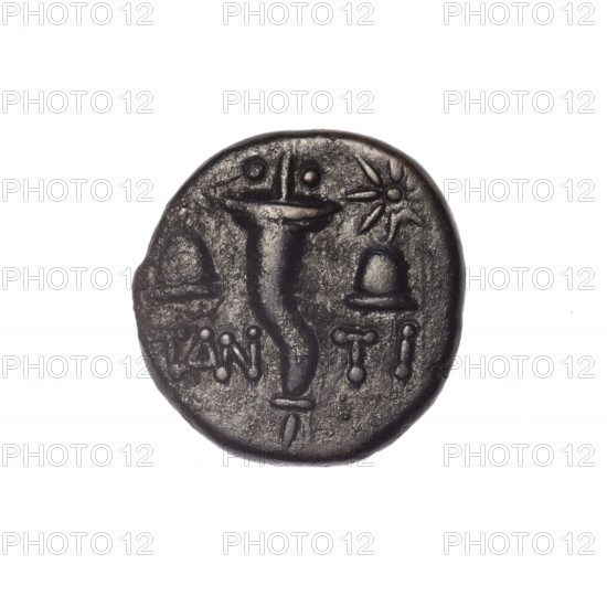 bronze coin, Pantikapaion; obverse: head of bearded Satyr in ivy wreath facing left; reverse: cornucopia, Dioscuri caps topped with stars on the sides, inscription below them; iconography: Dioscuri caps, Satyr's head, cornucopia; mythology: Satyr, Dioscuri; 4th quarter of the 2nd century BC; Cimmerian Bosporus, Pantikapaion; coin; weight 3.92 g; axis 330°; dimensions 17.4 × 16.7 mm