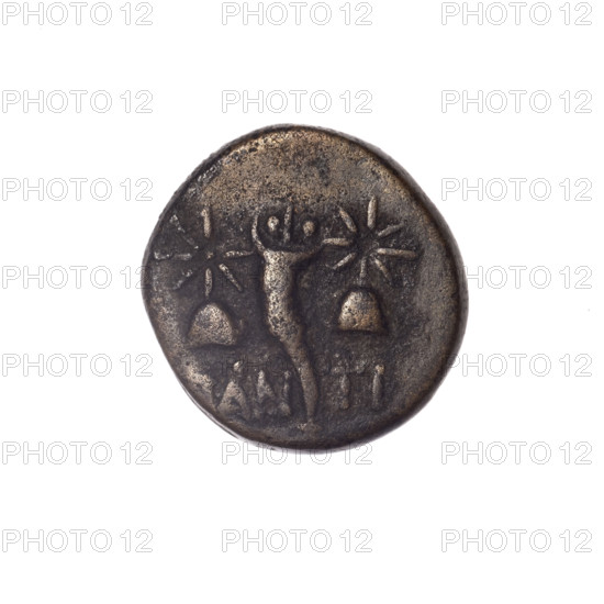 Bronze coin, Pantikapaion; obverse: head of a bearded Satyr in an ivy wreath facing left; reverse: cornucopia flanked by Dioscuri caps topped with stars, inscription below; iconography: Dioscuri caps, Satyr's head, cornucopia; mythology: Satyr, Dioscuri; Black Sea, Cimmerian Bosporus; 4th quarter of the 2nd century BC; mint: Pantikapaion; coin; weight 3.92 g; dimensions 16.8 mm × 16.2 mm; maker: Ignatius Terlecki (1860–1916).