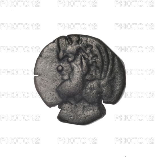 Bronze coin, Pantikapaion; obverse: head of bearded Satyr in an ivy wreath facing left; reverse: cornucopia with Dioscuri caps topped with stars on the sides, inscription below; iconography: Dioscuri caps, Satyr's head, cornucopia; Satyr (mythology), Dioscuri (mythology); 4th quarter of the 2nd century BC; Cimmerian Bosporus, Pantikapaion; coin; weight 3.64 g; dimensions 19 mm x 19 mm.