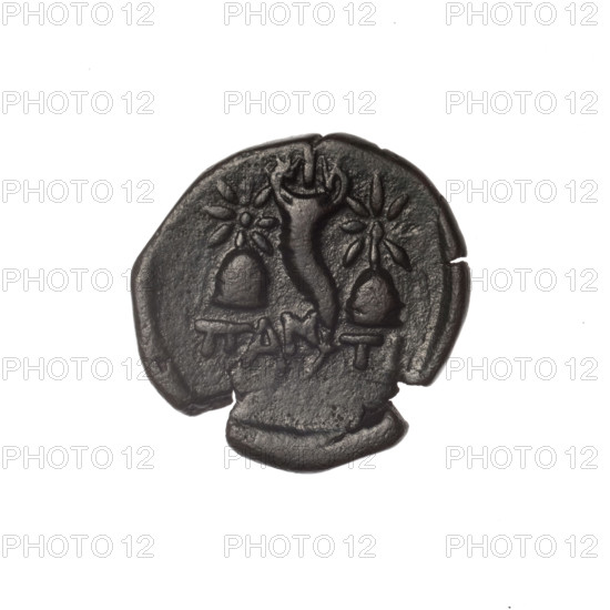 Bronze coin, Pantikapaion; obverse: head of bearded Satyr in an ivy wreath facing left; reverse: cornucopia flanked by Dioscuri caps topped with stars, inscription below; iconography: Dioscuri caps, Satyr's head, cornucopia; subject: Satyr, Dioscuri; 4th quarter of the 2nd century BC; Cimmerian Bosporus, Pantikapaion; coin; weight 3.64 g; diameter 19 mm.