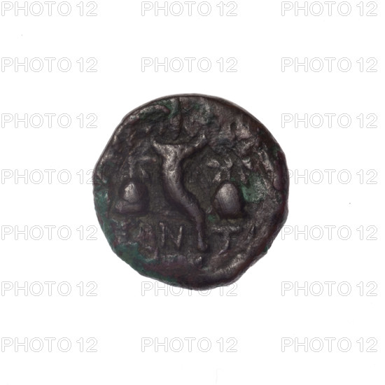 Bronze coin, Pantikapaion; obverse: head of a bearded satyr in an ivy wreath facing left; reverse: cornucopia, Dioscuri caps topped with stars on the sides, inscription below; iconography: Dioscuri caps, satyr's head, cornucopia; mythology: Satyr, Dioscuri; 4th quarter of the 2nd century BC; Cimmerian Bosporus; weight 2.59 g; diameter 16.6 mm.