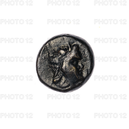bronze coin, Pantikapaion; aw: head of a beardless Satyr in a willow wreath facing right; rw: two Dioscuri caps topped with stars, inscription below them; iconography: Dioscuri caps, Satyr's head; subjects: Satyr (mythology), Dioscuri (mythology), quivers (armed); 4th quarter of the 2nd century BC; Cimmerian Bosporus, Pantikapaion; coin; weight 2.52 g; axis 330°; dimensions 12.7 × 12.5 mm