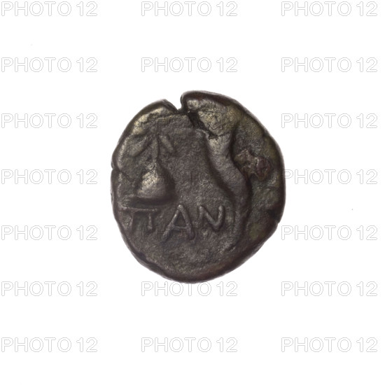bronze coin, Pantikapaion, Dioscuri caps (iconographic), Satyr's head (iconographic), Black Sea, cornucopia (iconographic), Satyr (mythology), Dioscuri (mythology), aw: head of bearded Satyr in ivy wreath facing left; rw: cornucopia, Dioscuri caps topped with stars on the sides, inscription below them; 4th quarter of the 2nd century BC, Cimmerian Bosporus, Pantikapaion, coin, weight 2.95 g, dimension 1 16.6 mm, dimension 2 15.2 mm