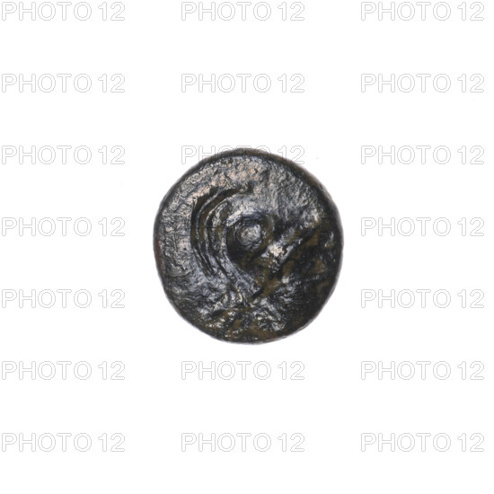 Bronze coin, Pantikapaion; obverse: head of Athena in a Corinthian helmet facing right; reverse: prora (ship prow) facing right, inscription at the bottom; iconography: Athena, ships; ca. 110 BC; Cimmerian Bosporus, Pantikapaion; coin; weight 1.90 g; axis 30°; dimensions 13.2 × 13.3 mm.