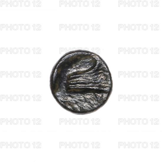 Bronze coin, Pantikapaion; obverse: head of Athena in a Corinthian helmet facing right; reverse: prora (ship's prow) facing right, inscription at the bottom; motifs: Athena, ships; ca. 110 BC; Cimmerian Bosporus, Pantikapaion; coin; weight 1.90 g; axis 30°; dimensions 13.2 × 13.3 mm.