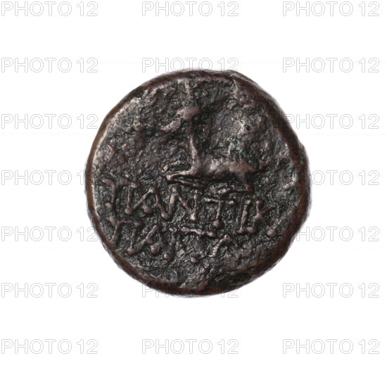 bronze coin, Pantikapaion; obverse: bust of Artemis with bow and quiver on shoulder facing right; reverse: deer with antlers lying to the left, inscription in two rows at the bottom; animals; Artemis (mythology); beginning of the 1st century BC; Cimmerian Bosporus; coin; weight 7.04 g; diameter 20.5 mm (other measurement 20.4 mm)