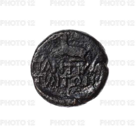 bronze coin, Pantikapaion; aw: bust of Artemis with bow and quiver on shoulder facing right; rw: deer with antlers lying straight to the left, inscription in two rows at the bottom; beginning of the 1st century BC; Cimmerian Bosporus, Pantikapaion; animals; Artemis (mythology); coin; weight 5.86 g; diameter 19.2 mm