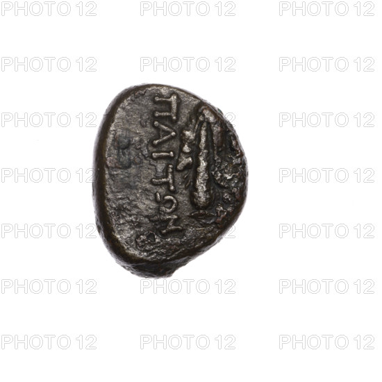 Bronze coin, Pantikapaion. Obverse: head of Heracles in a diadem facing right. Reverse: club vertically with lion skin on it; inscription in two columns on the sides. Iconography: Heracles, lion skin, club, weaponry. End of 1st century BC, Cimmerian Bosporus, Pantikapaion. Coin; weight 5.15 g; dimensions 17.3 mm × 14.1 mm.