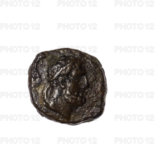 Bronze coin, Pantikapaion; obverse: head of Heracles in diadem facing right; reverse: club vertically with lion skin on it, inscription in two columns on the sides; iconography: head of Heracles, clubs, lion skin, weapons/armament; Heracles (mythology); end of 1st century BC; Cimmerian Bosporus, Pantikapaion; coin; weight 3.95 g; dimensions 16.6 mm and 19 mm.
