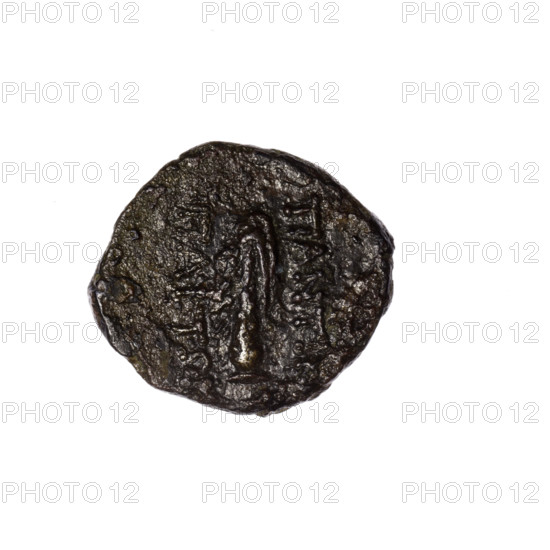 Bronze coin, Pantikapaion; obverse: head of Heracles in diadem facing right; reverse: club vertically with lion skin on it, inscription in two columns on the sides; iconography: head of Heracles, clubs, lion skin, weapons/armament; dated end of 1st century BC, Cimmerian Bosporus (Pantikapaion); coin; weight 3.95 g; dimensions 16.6 mm and 19 mm.