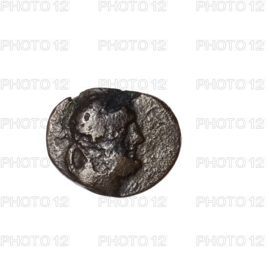 bronze coin, Pantikapaion, head of Heracles (iconographic), clubs, lion skin on club (iconographic), Heracles (mythology), weapons (iconographic), armament (iconographic), aw: head of Heracles in diadem facing right; rw: club vertically, lion skin on it, inscription in two columns on the sides; end of 1st century BC, Cimmerian Bosporus, Pantikapaion, coin, weight 2.50 g, dimension 1 13.8 mm, dimension 2 17.3 mm