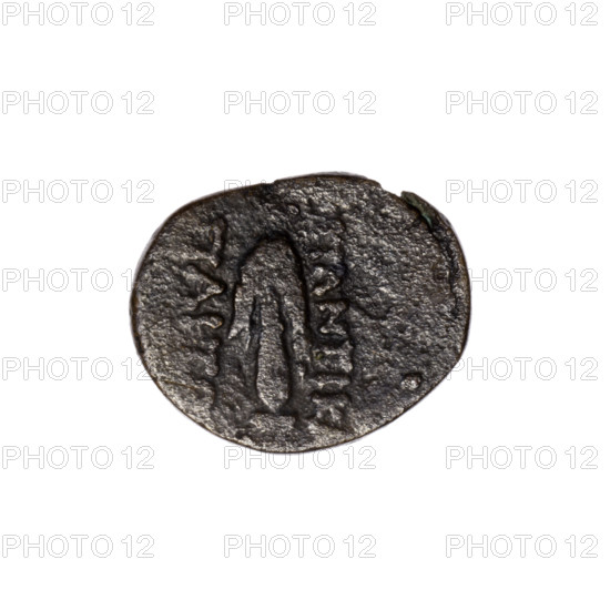 bronze coin, Pantikapaion; head of Heracles (iconographic); club and lion skin on club (iconographic); Heracles (mythology); weapons/armament (iconographic). Obverse: head of Heracles in diadem facing right. Reverse: club vertically with lion skin on it, inscription in two columns on the sides. End of 1st century BC, Cimmerian Bosporus, Pantikapaion. Coin; weight 2.50 g; dimensions 13.8 mm × 17.3 mm.