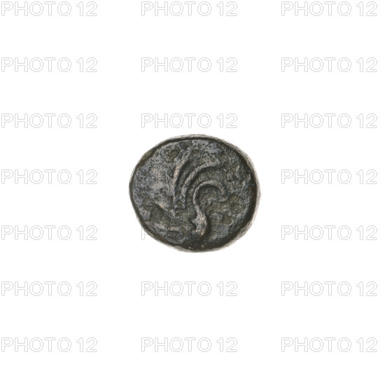 Bronze coin, Pantikapaion; obverse: wing vertically; reverse: tripod, inscription on the left. End of 3rd century BC. Cimmerian Bosporus, Pantikapaion. Coin; weight 1.05 g; axis 240°; dimensions 8.9 × 9.5 mm. Maker: Terlecki, Ignacy (1860–1916).