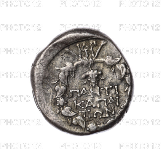 Didrachma, Pantikapaion; obverse: head of Dionysus in an ivy wreath facing right; reverse: ivy wreath with a monogram above it, an inscription in three rows inside, and a bunch of grapes at the top. Iconography: wreaths, grapes, head of Dionysus, ivy wreath, plants, Dionysus (mythology), monograms. Date: 1st quarter of the 1st century BC (95–65 BC). Region: Cimmerian Bosporus, Pantikapaion. Coin; weight 8.45 g; dimensions 21.7 mm and 20.4 mm. Makers/attributions: Terlecki, Ignatius (1860–1916) noted.