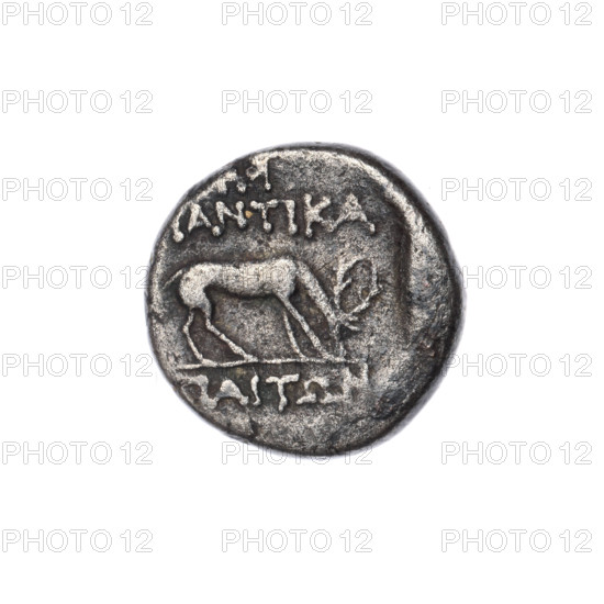 drachma, Pantikapaion; obverse: bust of Artemis with a bow and quiver on his shoulder to the right; reverse: grazing deer to the left; inscription at the top and in the field, above the inscription at the top a monogram; animals; Artemis (mythology); Black Sea, Cimmerian Bosporus, Pantikapaion; 1st quarter of the 1st century BC (95–65 BC according to Frolov); coin; weight 3.92 g; diameter 16.6–16.7 mm