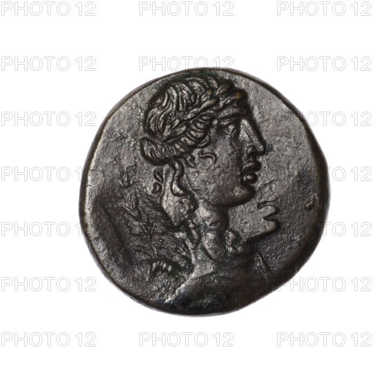 bronze coin, Pantikapaion; obverse: head of Apollo in a laurel wreath to the right, rectangular countermark (ear of corn); reverse: tripod, behind it a thyrsus with ribbons diagonally to the right, on the left and right a monogram, an inscription in two rows on the sides; iconography: head of Apollo, tripod, thyrsus, ears of corn, monograms, countermarks; mythology: Apollo; period: 1st quarter of the 1st century BC (95–65 BC); region: Cimmerian Bosporus, Pantikapaion; coin; weight 7.90 g; dimensions 22.2 mm × 22.1 mm.