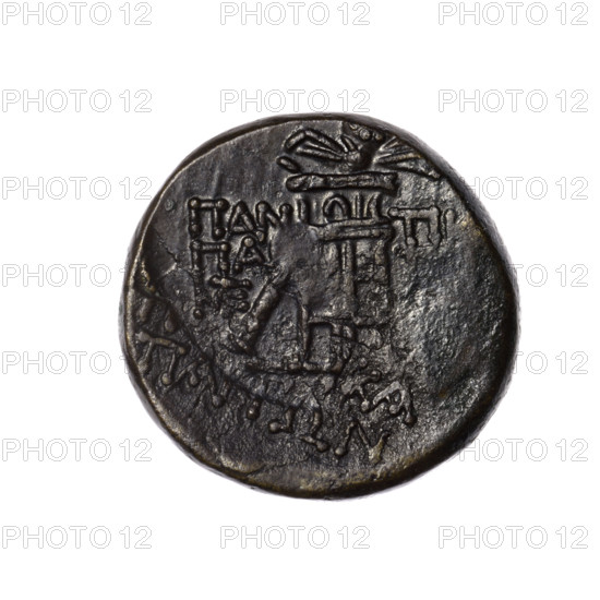 Bronze coin from Pantikapaion; obverse: head of Apollo in a laurel wreath facing right, rectangular countermark (ear of corn); reverse: tripod, behind it a thyrsus with ribbons diagonally to the right, monograms left and right, inscription in two rows on the sides; iconography includes Apollo, tripod, thyrsus, ears of corn; countermarks and monograms present. Cimmerian Bosporus (Pantikapaion), 1st quarter of 1st century BC (95–65 BC). Weight 7.90 g; diameter ~22.2 mm x 22.1 mm. Maker: Ignatius Terlecki (1860–1916) noted.