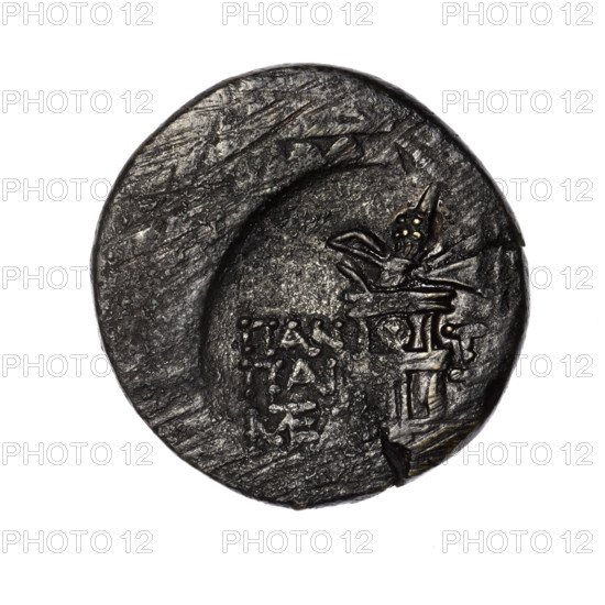 Bronze coin, Pantikapaion; obverse: head of Apollo in a laurel wreath to the right; reverse: tripod, behind it a thyrsus with ribbons diagonally to the right, monograms on left and right, an inscription in two rows on the sides. Iconography: head of Apollo, tripod, thyrsus. Mythology: Apollo. Monograms present. Date: 1st quarter of the 1st century BC (95–65 BC). Region: Cimmerian Bosporus, Pantikapaion. Coin; weight 7.02 g; diameters 24.7 mm and 24.4 mm.