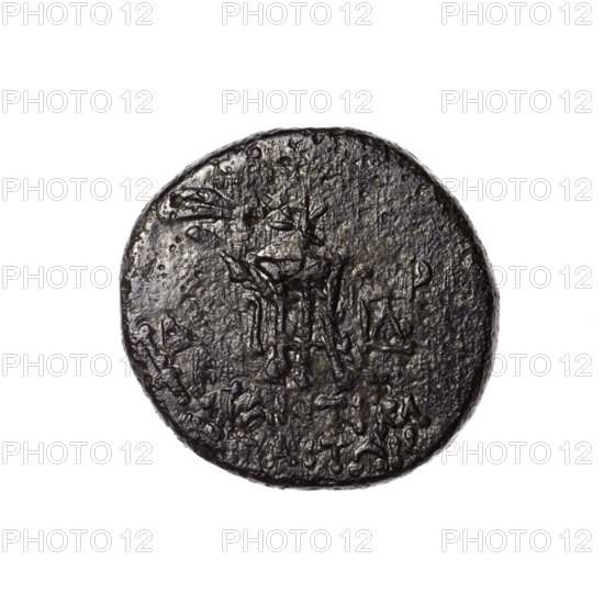 bronze coin, Pantikapaion; obverse: head of Apollo in a laurel wreath facing right; reverse: tripod with an eight-pointed star at the top, behind it a thyrsus with ribbons diagonally facing right, a monogram in the right field, inscription in two rows at the bottom; iconography: Apollo, tripod, thyrsus, stars, monograms; ca. 1st century BC (Cimmerian Bosporus, Pantikapaion), mid-18th century (uncertain provenance note); weight 6.54 g; dimensions 20.8 × 20.4 mm; maker: Terlecki, Ignacy (1860–1916) mentioned.