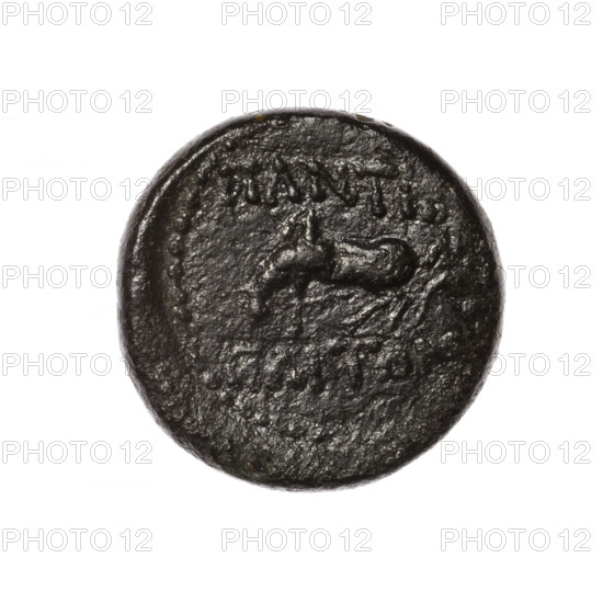Bronze coin, Pantikapaion; obverse: head of Apollo in laurel wreath facing right; reverse: Pegasus grazing facing left with raised front right leg, inscription at the top and on the cut-off, pearl rim. Iconography: Apollo, Pegasus (mythology). Date: 2nd half of the 1st century BC. Region: Cimmerian Bosporus, Pantikapaion. Coin; weight 8.42 g; dimensions 20.9 × 21.1 mm. Maker: unknown (Terlecki, Ignacy removed).