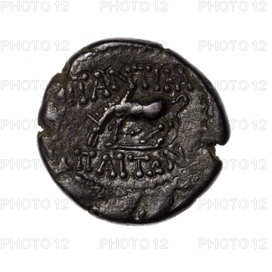 bronze coin, Pantikapaion; obverse: head of Apollo in laurel wreath facing right; reverse: grazing Pegasus facing left, with raised front right leg, inscription at the top and on the cut-off, pearl rim; 2nd half of the 1st century BC, Cimmerian Bosporus, Pantikapaion; subject: Apollo (iconography) and Pegasus (mythology); coin; weight 8.23 g; dimensions 22.5–23.1 mm