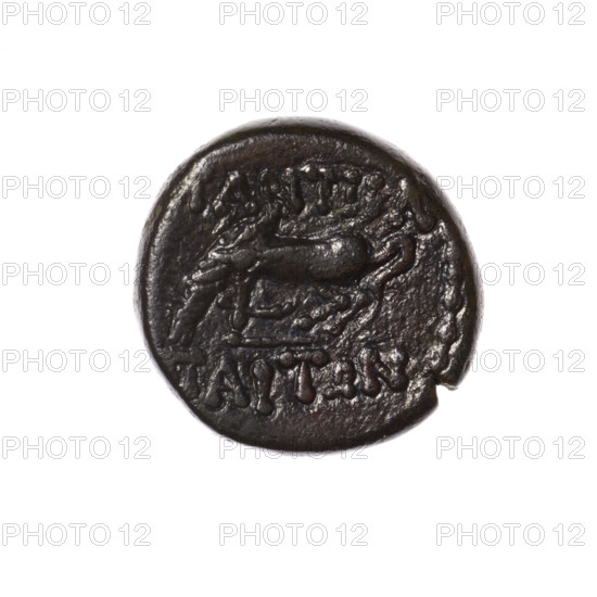 Bronze coin, Pantikapaion; obverse: head of Apollo in laurel wreath facing right; reverse: grazing Pegasus facing left with raised right foreleg, inscription at the top and on the cut-off, pearl rim. Apollo (iconography), Pegasus (mythology). 2nd half of the 1st century BC, Cimmerian Bosporus, Pantikapaion. Coin; weight 7.98 g; axis 330°; dimensions 18.7 × 19.1 mm.