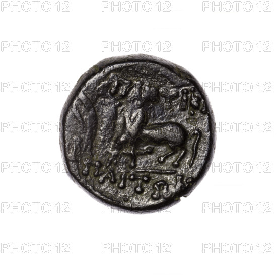 Bronze coin, Pantikapaion; obverse: head of Apollo in laurel wreath facing right; reverse: grazing Pegasus facing left with raised right foreleg, inscription at the top and on the cut-off, pearl rim. Iconography: Apollo; Pegasus (mythology). Date: 2nd half of the 1st century BC. Region: Cimmerian Bosporus, Pantikapaion. Maker/attribution: Terlecki, Ignacy (1860–1916). Object type: coin. Weight: 7.80 g. Axis: 330°. Dimensions: 18.7 × 18.7 mm.
