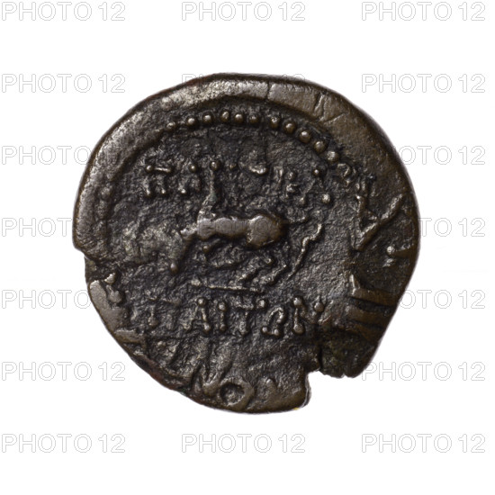 bronze coin, Pantikapaion; obverse: head of Apollo in laurel wreath facing right; reverse: grazing Pegasus facing left with raised front right leg, inscription at the top and on the cut-off, pearl rim; Apollo (mythology), Pegasus (mythology); 2nd half of the 1st century BC, Cimmerian Bosporus, Pantikapaion; coin; weight 6.27 g; diameter 22.6 mm