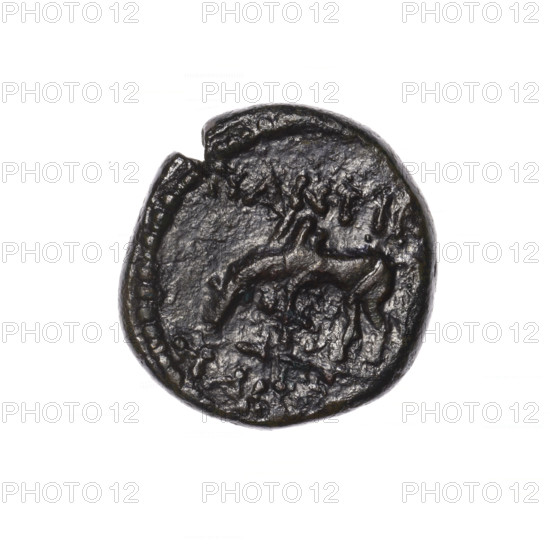 Bronze coin, Pantikapaion; obverse: head of Apollo in laurel wreath facing right; reverse: grazing Pegasus facing left with raised front right leg, inscription at the top and on the cut, pearl rim. Subject: Apollo (iconographic/mythological), Pegasus (mythological). Date: 2nd half of the 1st century BC. Region: Cimmerian Bosporus, Pantikapaion. Material: bronze. Type: coin. Weight: 6.05 g. Axis: 300 degrees. Dimensions: 19.6 mm × 19.2 mm. Maker: Terlecki, Ignacy (1860–1916)