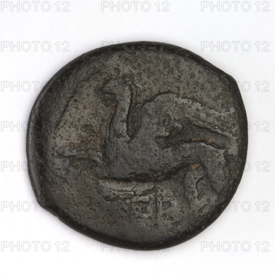 bronze coin, Chersonesos, griffins, kneeling Artemis, Artemis (mythology), dolphins, countermarks (numism), Black Sea, Artemis with bow and arrow, aw: Artemis (Deva) kneeling on right knee to the right, bow in left hand, countermark (dolphin); rw: eagle-headed griffin to the left, name of official at the top, XEP at the bottom; 320–310 BC, Chersonesos (Chersonesos Taurica), coin, weight 8.45 g, axis 90 degrees, diameter 22.3 mm × 21.1 mm