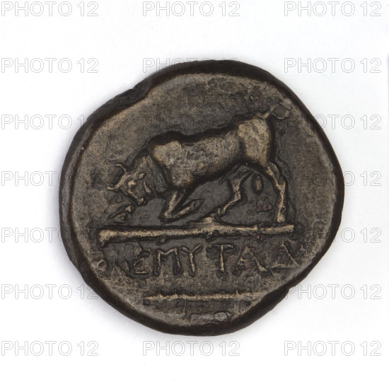 bronze coin, Chersonesos, bulls, Artemis killing a doe (iconographic), quivers, clubs, Black Sea, animals, Artemis (mythology), weapons (iconographic), armament (iconographic), Artemis with a bow (iconographic), bows (armed), aw: Artemis (Deva) to the left thrusting a spear into a doe kneeling to the left, a bow in her left hand, at the bottom the inscription XEP rw: a bull on a club charging to the left, an inscription below it, below it a bow and quiver, 300–290 BC, Chersonesos (Chersonesos Taurica), coin, weight 5.90 g, dimension 1 19.6 mm, dimension 2 20.3 mm