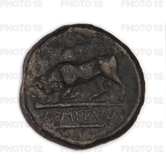 bronze coin, Chersonesos, bulls, Artemis killing a doe (iconographic), quivers, clubs, Black Sea, animals, Artemis (mythology), weapons (iconographic), armament (iconographic), Artemis with a bow (iconographic), bows (armed), aw: Artemis (Deva) to the left thrusting a spear into a doe kneeling to the left, a bow in her left hand, at the bottom the inscription XEP rw: a bull on a club charging to the left, an inscription below it, below it a bow and quiver, 300 - 290 BC, Chersonesos (Chersonesos Taurica), coin, weight 5.88 g, axis 180 degrees, dimension 1 21.1 mm, dimension 2 20.8 mm