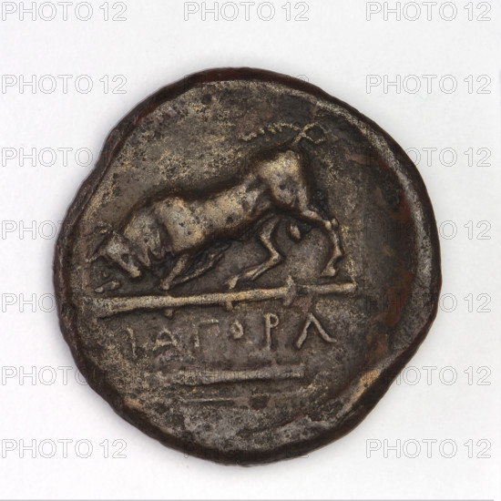 Bronze coin, Chersonesos, 300–290 BC. Obverse: Artemis to the left thrusting a spear into a kneeling doe, a bow in her left hand; inscription XEP rw at the bottom. Reverse: bull charging left toward a club, an inscription below; a bow and a quiver below. Iconography: Artemis killing a doe, bulls, quivers, clubs, bows, armament/weapons. Chersonesos (Chersonesos Taurica). Weight 6.37 g; axes 270°; dimensions 21.4 mm × 22.1 mm.