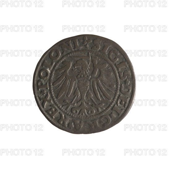 Gdansk szelag, Sigismund I the Old (King of Poland; 1506–1548). Polish coin (1532). Obverse: Eagle of Royal Prussia; in the rim between pearls an inscription: .SIGIS.DEI.GRA.REX.POLONI. Reverse: Coat of arms of Gdansk; in the rim between pearls an inscription: .MONE.CIVI.DANCZ.153Z. Materials: coin; subjects: eagle (coat of arms), Jagiellon dynasty, coats of arms, Gdansk. Location: Gdansk, Poland.