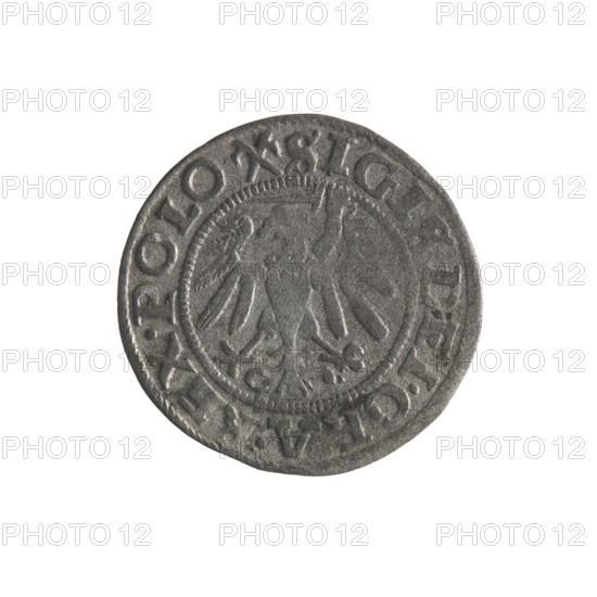 Gdansk szelag, Sigismund I the Old (King of Poland; 1506–1548). Obverse: Eagle of Royal Prussia, in the rim between pearls an inscription: .SIGIS.DEI.GRA.REX.POLO. Reverse: Coat of arms of Gdansk, in the rim between pearls an inscription: .MONE.CIVI.GED. N. 1539. Emblems/coats of arms of cities; Jagiellon dynasty; eagles. Polish coin; 1539; Gdansk, Poland.