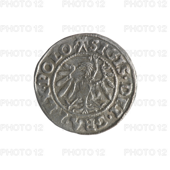 Gdansk szelag, Sigismund I the Old (King of Poland; 1506–1548). Obverse: Eagle of Royal Prussia, in the rim between pearls the inscription: .SIGIS.DEI.GR, .POLO. Reverse: Coat of arms of Gdansk, in the rim between pearls the inscription: .MO, .CIVI.GEDANEN. 1539. Features emblems/coats of arms of cities, Jagiellon dynasty eagles. Polish coin; Gdansk, Poland.