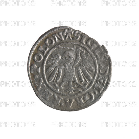 Gdansk szelag; Sigismund I the Old (King of Poland, 1506–1548); Gdansk coat of arms; emblems and coats of arms of cities; Jagiellon dynasty; eagles (Eagle coat of arms); Polish coin. Obverse: Eagle of Royal Prussia, in rim between pearls inscription .SIGIS.DEI.GRA.REX.POLON. Reverse: Coat of arms of Gdansk, in rim between pearls inscription .MONE.CIVI.GEDANEN. 1539.