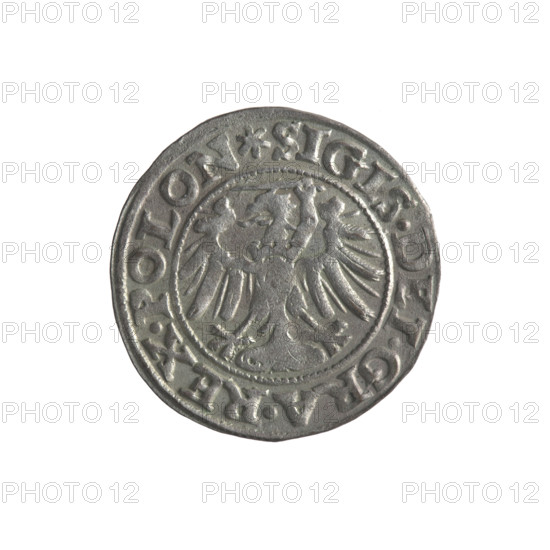 Gdansk szelag, Sigismund I the Old (King of Poland; 1506–1548). Obverse: Eagle of Royal Prussia; in the rim between pearls an inscription: .SIGIS.DEI.GRA.REX.POLON. Reverse: Coat of arms of Gdansk; in the rim between pearls an inscription: .MONE.CIVI.GEDANEN.1546. Emblems and coats of arms of cities, Jagiellon dynasty, eagles. 1546; Poland, Gdansk; Polish coin.