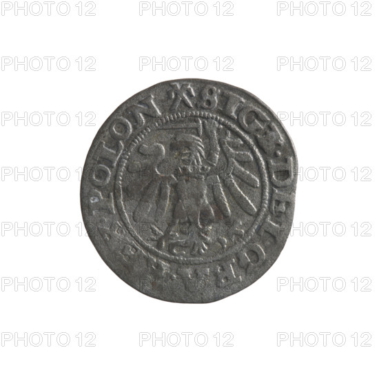 Gdansk szelag, Sigismund I the Old (King of Poland; 1506–1548); obverse: Eagle of Royal Prussia, in the rim between pearls an inscription: .SIG. DEI.GRA.REX.POLON.; reverse: Coat of arms of Gdansk, in the rim between pearls an inscription: .MON. VI.GEDANEN.1540.; emblems and coats of arms of cities; Jagiellon dynasty; eagles; Polish coin; 1540; Gdansk, Poland.