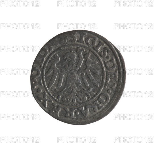 Gdansk szelag, Sigismund I the Old (King of Poland; 1506–1548). Obverse: Eagle of Royal Prussia, in rim between pearls an inscription: .SIGIS.DEI.GRA.REX.POLON. Reverse: Coat of arms of Gdansk, in rim between pearls an inscription: .MONE.CIVI.GEDANEN.1546. Emblems/coats of arms of cities; Jagiellon dynasty; eagles. 1546; Polish coin; Gdansk.