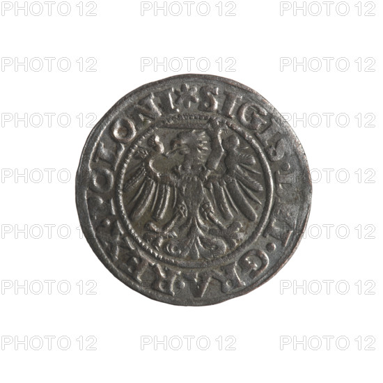 Gdansk szelag, Sigismund I the Old (King of Poland; reign 1506–1548). Obverse: Eagle of Royal Prussia, rim inscription .SIGIS.DEI.GRA.REX.POLONI. Reverse: Coat of arms of Gdansk, rim inscription .MONE.CIVI.GEDANEN.1546. 1546. Silver coin, Poland, Gdansk. Emblems: coats of arms of cities, Jagiellon dynasty, eagles.