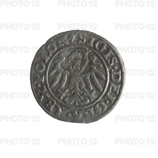 Gdansk szelag, Sigismund I the Old (King of Poland; 1506–1548); 1546; Obverse: Eagle of Royal Prussia, in the rim between pearls an inscription: .SIGIS.DEI.GRA.REX.POLON; Reverse: Coat of arms of Gdansk, in the rim between pearls an inscription: NE.CIVI.GEDANEN.1546; emblems and coats of arms of cities; Jagiellon dynasty; eagles; Polish coin; Gdansk, Poland.