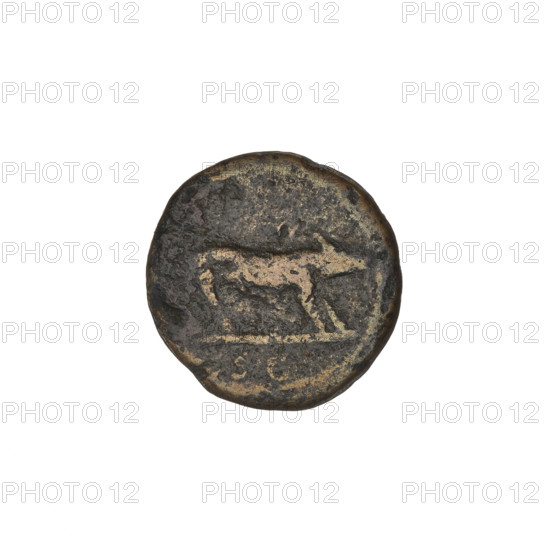 Coin (denarius), Trajan (53–117; Roman emperor 98–117). Obverse: head of Trajan in laurel wreath facing right; rim inscription illegible. Reverse: boar facing right with lowered head; below it the letters 'SC'. Date: 114–117. Roman Empire (27 BC–476). Rome. Weight: 2.84 g.