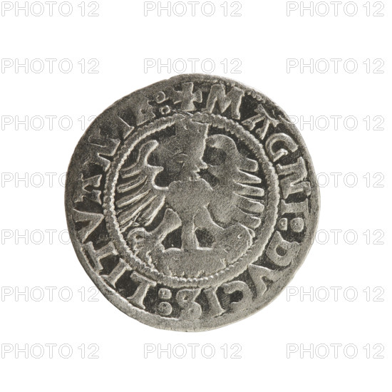 Lithuanian half-grosz, Sigismund I the Old (king of Poland; 1506–1548). Obverse: Pursuer (emblem of Lithuania) turned left; in the rim between pearl borders an inscription: + COIN:SIGISMVNDI:15Z3:. Reverse: Polish crowned eagle; in the rim between pearly borders an inscription: + MAGNI:DVCIS:LITVANIE:. Dated 1523. Silver coin of the Grand Duchy of Lithuania and Poland; struck in Vilnius.