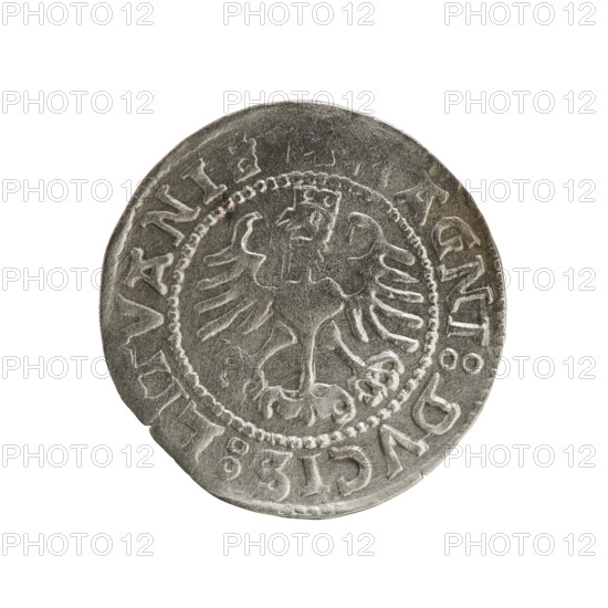 Lithuanian half-grosz, Sigismund I the Old (King of Poland; 1506–1548). Obverse: Pogon (mounted knight) turned left; in the rim between pearl-shaped borders an inscription: + COIN:, ISMVNDI:15Z9. Reverse: Polish crowned eagle; in the rim between pearl-shaped borders an inscription: AGNI:DVCIS:LI, VANIE, 1529. Silver coin, Grand Duchy of Lithuania, Vilnius, 1529.