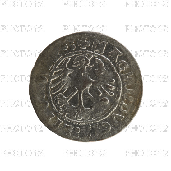 Lithuanian half-grosz of Sigismund I the Old (reigned 1506–1548). Obverse: Pursuer (Lithuanian emblem) turned left; legend in rim between pearl borders: + M, A, IGIS, DI:15, 9:. Reverse: Crowned Polish eagle; legend in rim between pearl borders: +, AG, I:DVC, :LI, .:, 1529. Silver coin; Jagiellon dynasty; struck in Vilnius, Grand Duchy of Lithuania (Poland–Lithuania).