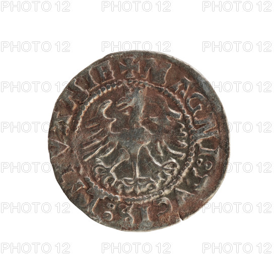 Lithuanian half-grosz, Sigismund I the Old (king of Poland; 1506–1548). Silver coin (1524). Obverse: Pogon (Lithuanian charging knight) turned left; rim between pearl borders with inscription M A:SIGISMVNDI:15Z. Reverse: Crowned Polish eagle; rim between pearl borders with inscription + AGNI:DVCIS:LITVANIE. Polish–Lithuanian (Grand Duchy of Lithuania), Vilnius.