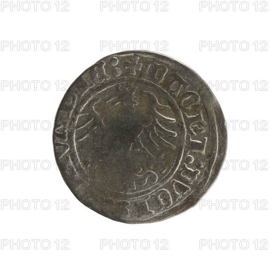 Lithuanian half-grosz of Sigismund I the Old (King of Poland, r. 1506–1548). Silver coin (half-grosz), c. 1508–1529, struck in Vilnius, Grand Duchy of Lithuania (Poland–Lithuania). Obverse: Pogon (Lithuanian mounted horseman) turned left; legend in rim between pearl-shaped borders: NETA:SIGISMVNDI:15. Reverse: crowned Polish Eagle; legend in rim between pearl-shaped borders: + MAGNI:DVCI, IE:. Emblems: Pogon and Eagle; style and inscriptions typical of Jagiellon coinage.