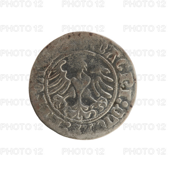 Lithuanian half-grosz, Sigismund I the Old (King of Poland; 1506–1548). Polish coin of the Jagiellon dynasty, 1508–1529. Obverse: Pogon (Lithuanian heraldic knight) turned left; rim with pearl-shaped borders and inscription NETA:SIGISMVNDI. Reverse: Polish crowned eagle; rim with pearl-shaped borders and inscription AGNI:DV: LITVA. Minted in Vilnius, Grand Duchy of Lithuania.